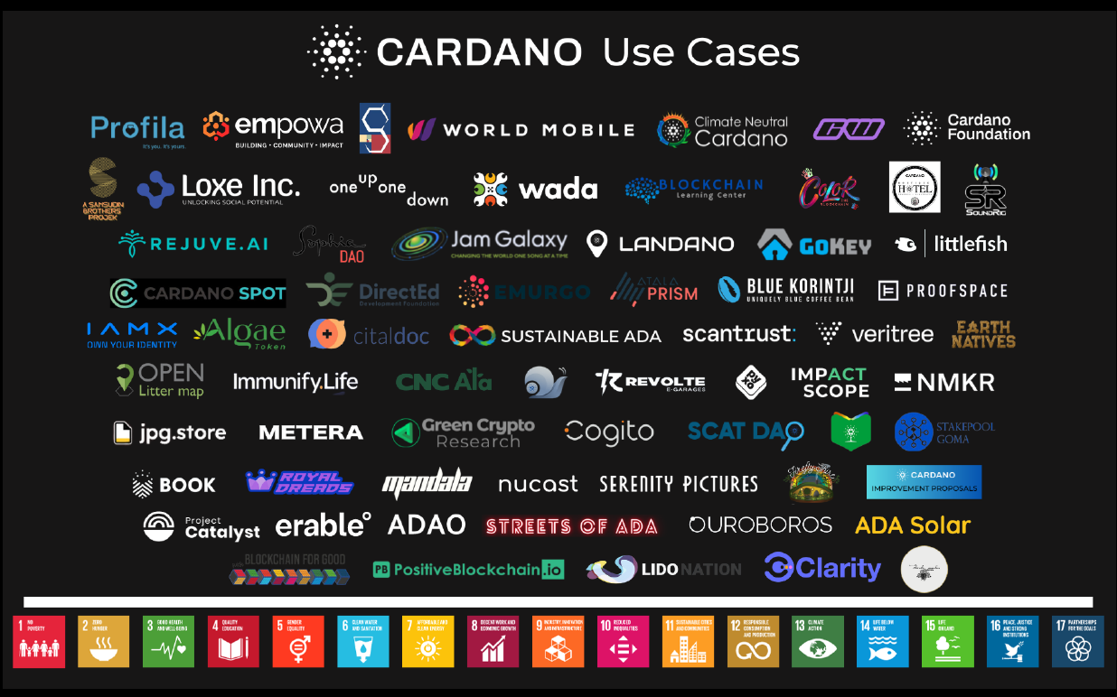 use-cases-Impact-Report-Cardano-8dfee4.png