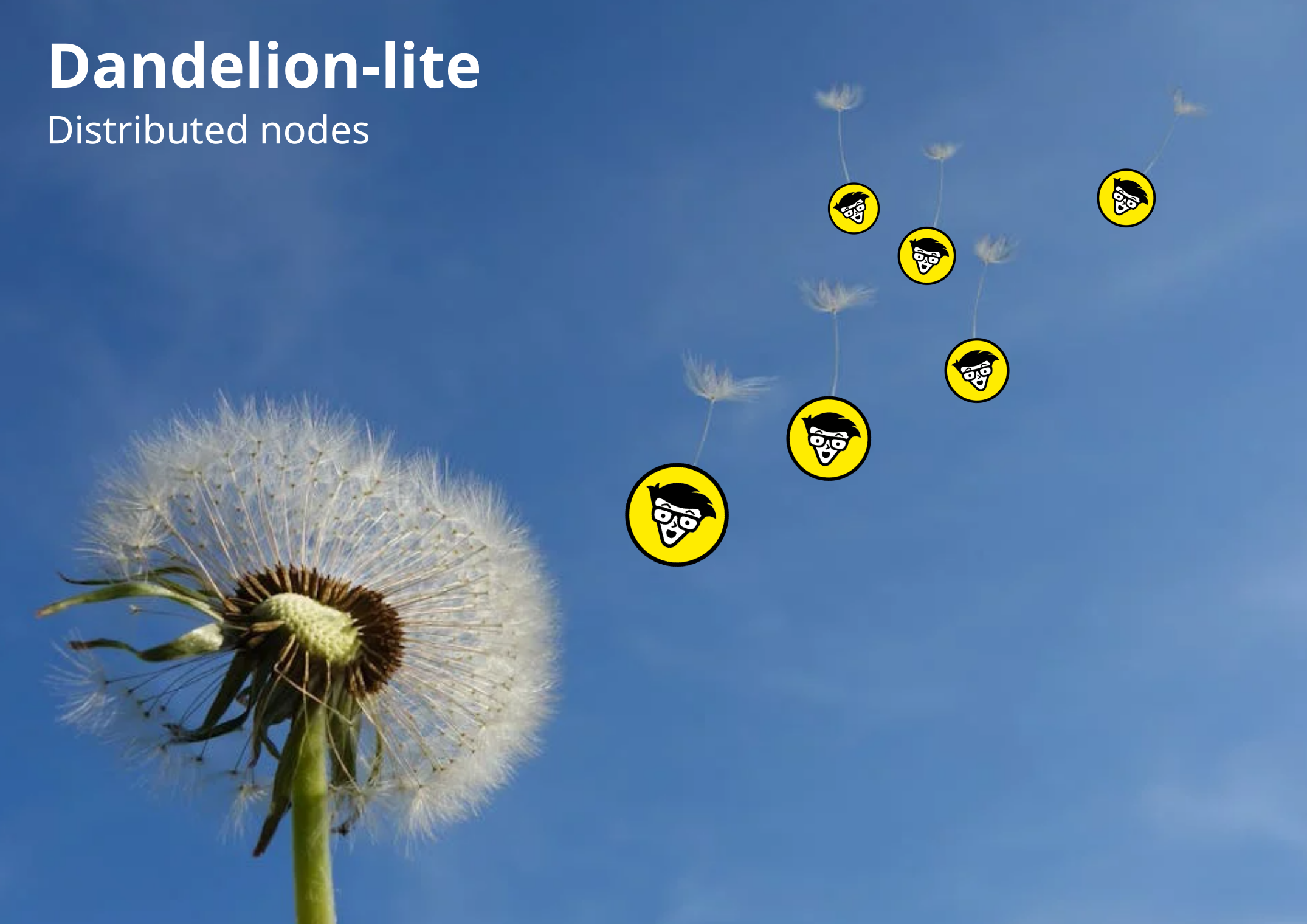 Dandelion