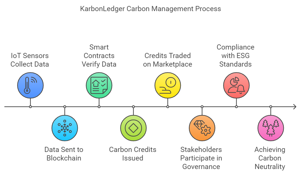 Karbon Ledger - Management Process