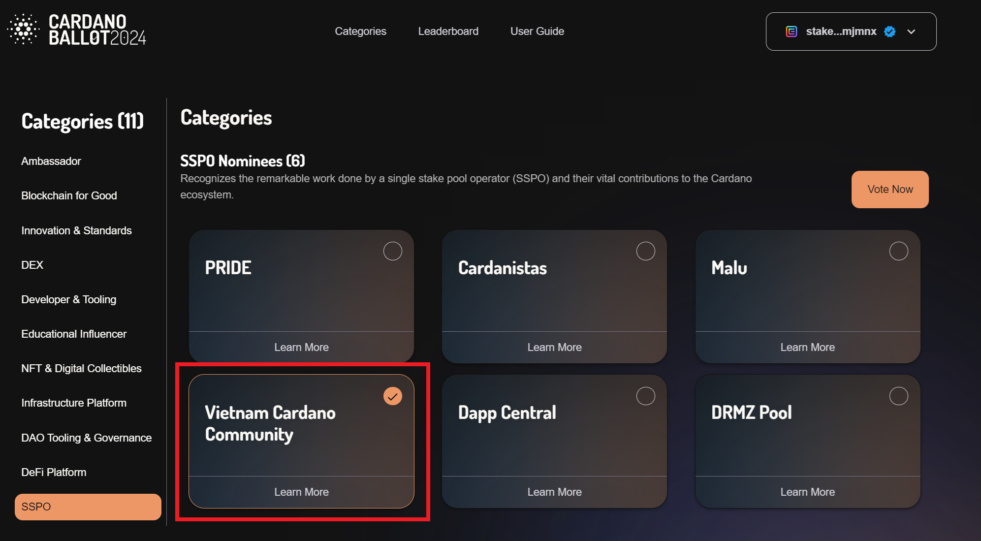 SSPO-Cardano-Ballot-2024-ae6b41.png